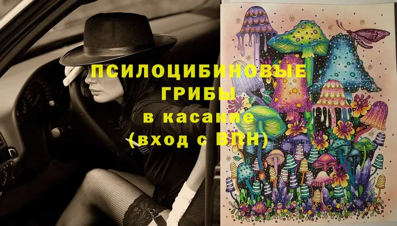 Галлюциногенные грибы Magic Shrooms  Калач 